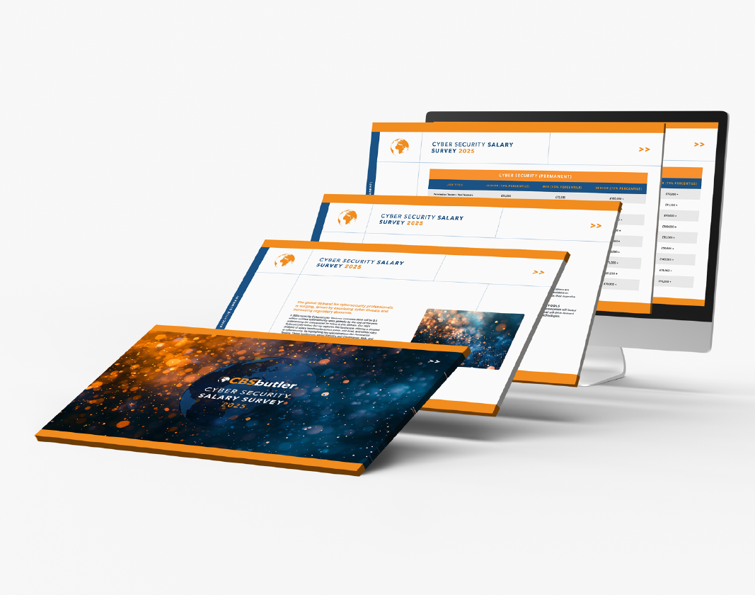 Cyber Security Salary Survey 2025